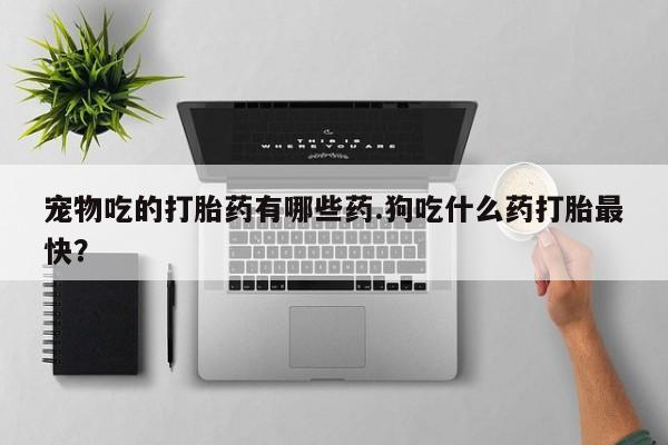 打胎药私人店付一半发货宠物吃的打胎药有哪些药.狗吃什么药打胎最快？