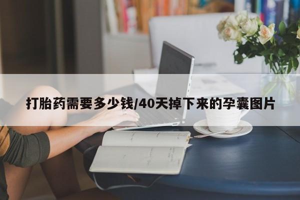 打胎药私人店付一半发货打胎药需要多少钱/40天掉下来的孕囊图片