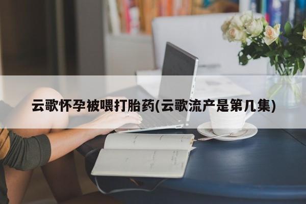 打胎药私人店付一半发货云歌怀孕被喂打胎药(云歌流产是第几集)